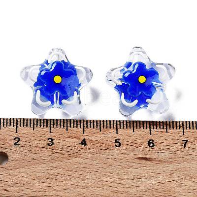 Transparent Glass Beads LAMP-H065-02F-1
