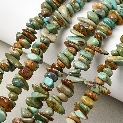 Natural HuBei Turquoise Bead Strands G-H345-A01-04-1