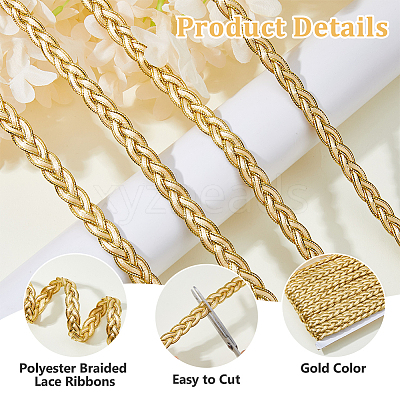 Polyester Braided Lace Ribbons OCOR-WH0105-181A-1