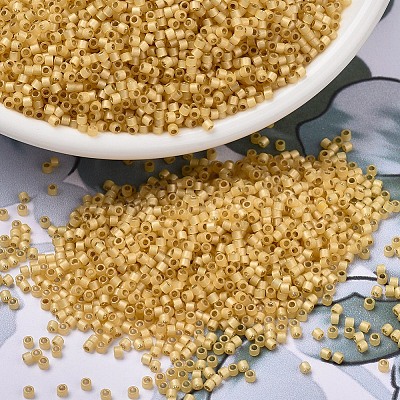 MIYUKI Delica Beads X-SEED-J020-DB2186-1
