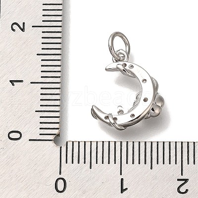 Rack Plating Brass Micro Pave Cubic Zirconia Charms KK-I720-61P-1