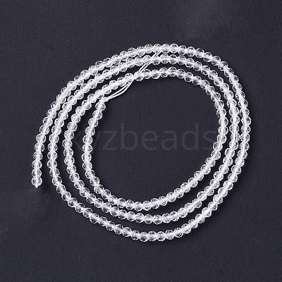Transparent Glass Beads Strands GLAA-C019-01A-11-1