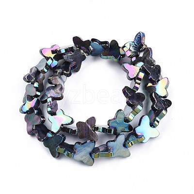 Natural Freshwater Shell Beads Strands SHEL-N026-206F-1