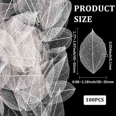 100Pcs Dried Flower Leaf Craft Supplies AJEW-CP0009-41B-1