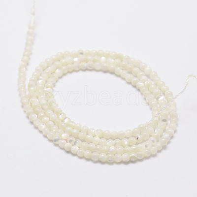 Natural White Shell Beads X-G-N0190-11-2mm-1