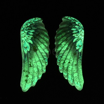 Luminous Transparent Epoxy Resin Pendants RE-CBAE738-01C-1