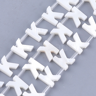 Freshwater Shell Beads X-SHEL-T012-59K-1