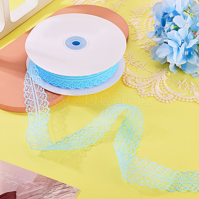Polyester Lace Ribbon OCOR-TAC0025-008C-1