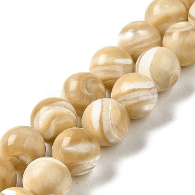 Natural Trochus Shell Beads Strands SHEL-K006-18C-1