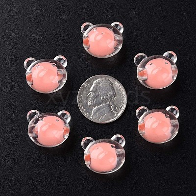 Transparent Acrylic Beads LS-MACR-S373-122-B01-1