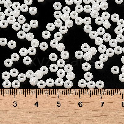 Glass Seed Beads SEED-H002-E-A121-1