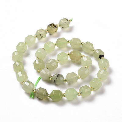Natural Prehnite Beads Strands G-G990-F09-1