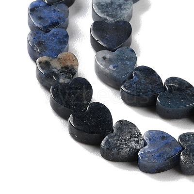 Natural Sodalite Beads Strands G-M403-A08-02-1