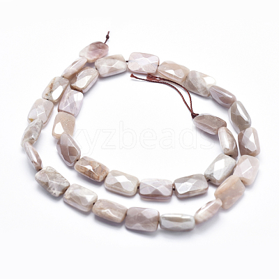 Electroplate Natural Sunstone Beads Strands G-K256-19A-02-1