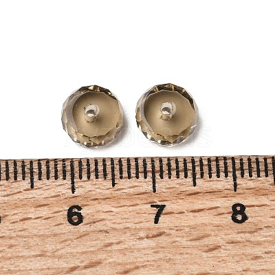 K9 Glass SWAR-F078-4x8mm-21-1