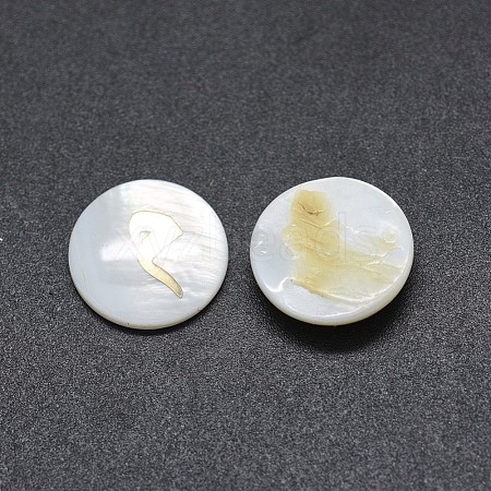 Shell Cabochons SSHEL-E568-B09-1