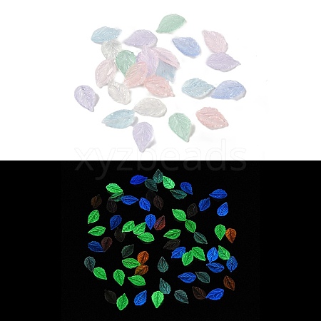 Luminous Resin Decoden Cabochons RESI-K036-16-1