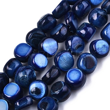 Natural Freshwater Shell Beads Strands SHEL-S276-110A-02-1