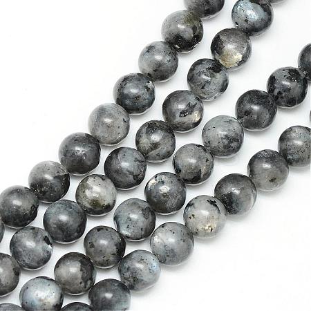 Natural Larvikite Beads Strands G-R345-12mm-33-1