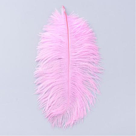 Ostrich Feather Costume Accessories FIND-R036-A-15-1