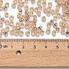 TOHO 6/0 Round Beads SEED-XTR06-0031-3