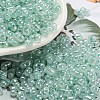 Ceylon Glass Seed Beads SEED-K009-02B-26-1