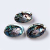 Natural Abalone Shell/Paua ShellDecoration SSHEL-K024-01A-2