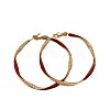 Alloy Enamel Hoop Earrings FS-WG76269-01-3