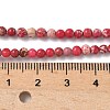 Dyed Natural Regalite/Imperial Jasper/Sea Sediment Jasper Beads Strands G-B124-C05-09-2