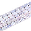 Anti-Tarnish Electroplate Glass Beads Strands GLAA-T025-29E-1