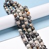 Natural Polychrome Jasper/Picasso Stone/Picasso Jasper Bead Strands G-E571-17A-2