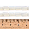 Opalite Beads Strands G-B091-A01-01-5