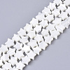 Natural Trochid Shell/Trochus Shell Bead Strands SSHEL-N034-68A-1