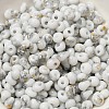Baking Paint Glass Seed Beads X1-SEED-F006-01A-09-3