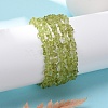 Unisex Chip Natural Peridot Beaded Stretch Bracelets BJEW-S143-51-4