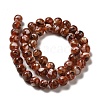 Freshwater Shell Beads Strands BSHE-L039-08B-08-2