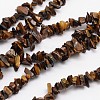 Chips Natural Tiger Eye Beads Strands G-N0164-66-1