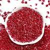 6/0 Spray Paint Glass Seed Beads SEED-H003-11F-3