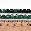 Natural Fuchsite Beads Strands G-T140-20A-5