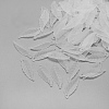 Transparent Acrylic Pendants X-FACR-S023-SB518-1