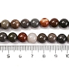 Natural Picture Jasper Beads Strands G-H037-A01-02-5