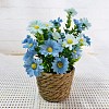 Silk Cloth Flower Pot PW-WG76924-06-1