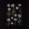 Daisy Pattern Waterproof Plastic Scrapbooking Stickers DIY-WH0158-49C-1