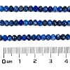 Natural Lapis Lazuli Beads Strands G-L587-B04-02-4