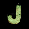 Luminous Resin Pendants RESI-I059-J01-3