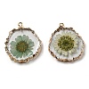 Inner Dried Flower Resin Pendants X-RESI-P028-02KCG-02-2