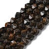 Natural Bronzite Beads Strands G-Z119-A30-01-3