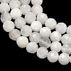 Natural Rainbow Moonstone Beads Strands G-B168-A11-3mm-4