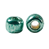 TOHO 11/0 Round Beads SEED-TR11-PF0561-3