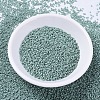 MIYUKI Delica Beads SEED-MY11-DB0374-2